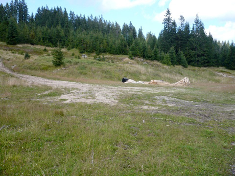 Foto 41